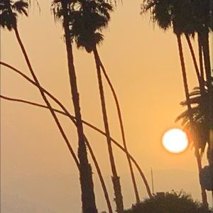 Meet your Posher, Lilly